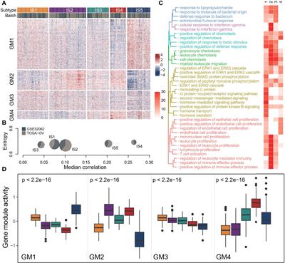 The Immune Subtype Contributes to Distinct Overall Survival for Ovarian Cancer Patients With Platinum-Based Adjuvant Therapy